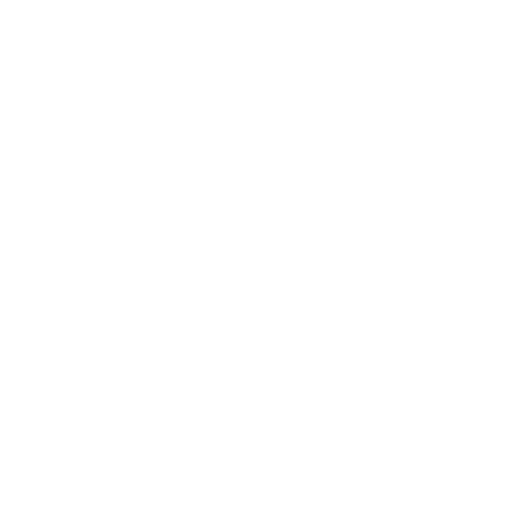 consultant